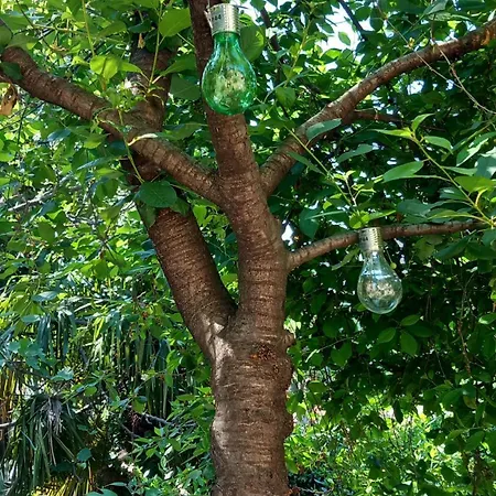 Malini