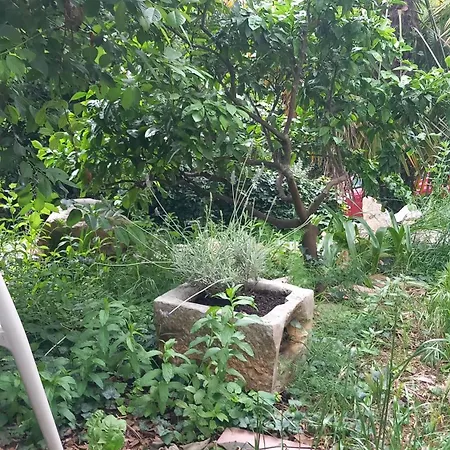 Malini