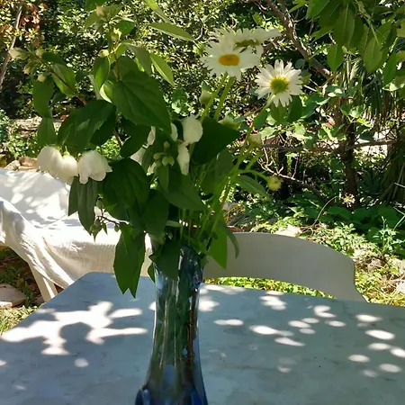 Διαμέρισμα Malini *